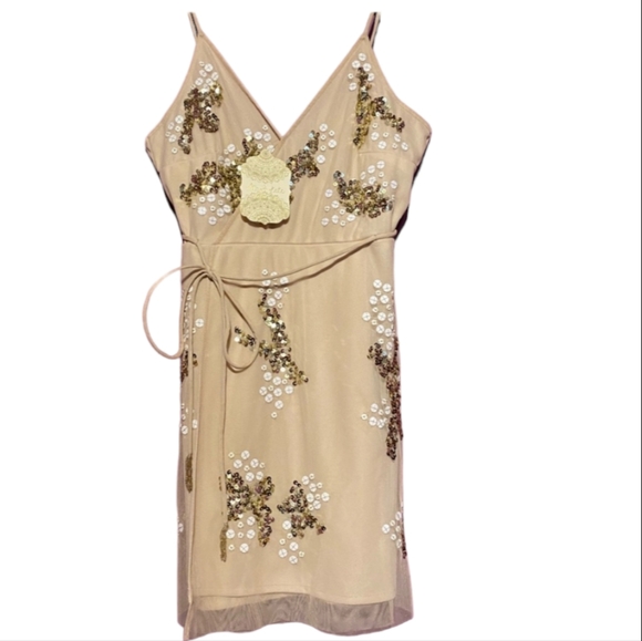 NWT Altar’d State Guenaviere Dress Small - Picture 1 of 16